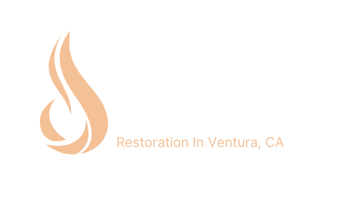 Pro water damage restoration in ventura, ca logo